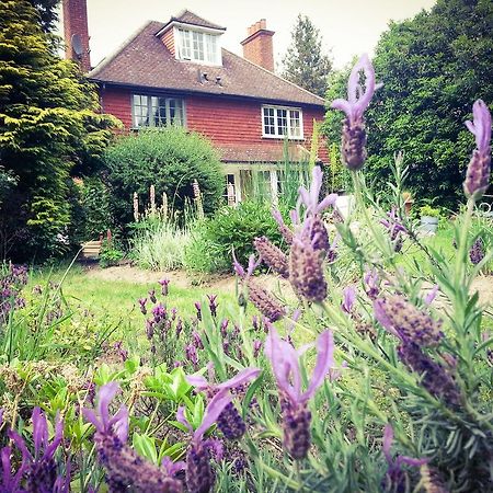 Rosemead Guest House Claygate Dış mekan fotoğraf