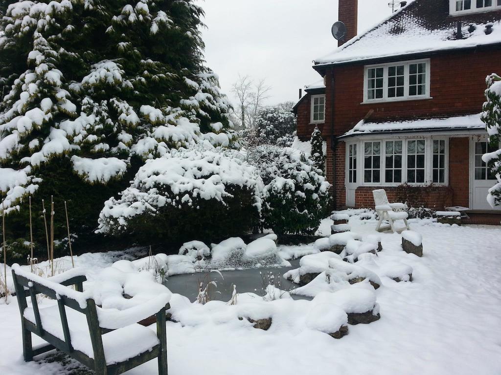 Rosemead Guest House Claygate Dış mekan fotoğraf