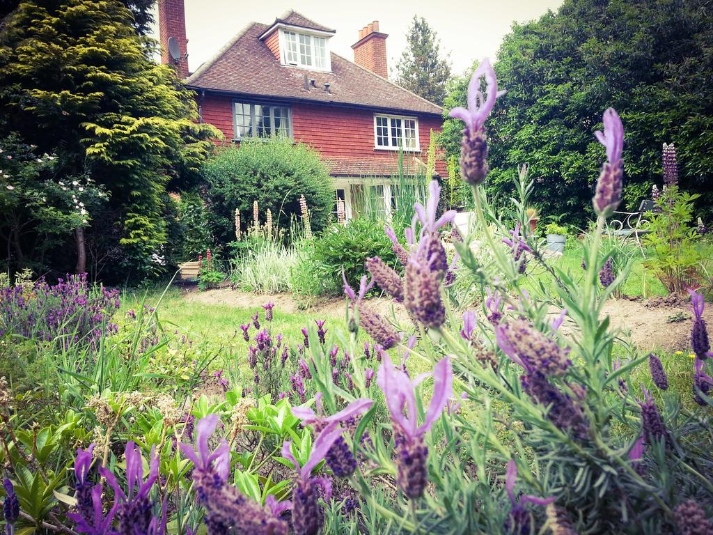 Rosemead Guest House Claygate Dış mekan fotoğraf